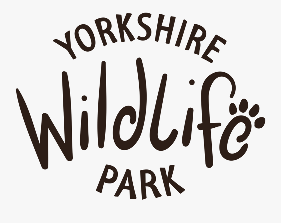 Calligraphy, Transparent Clipart