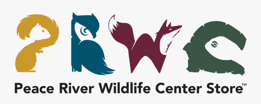 Graphic Design, Transparent Clipart