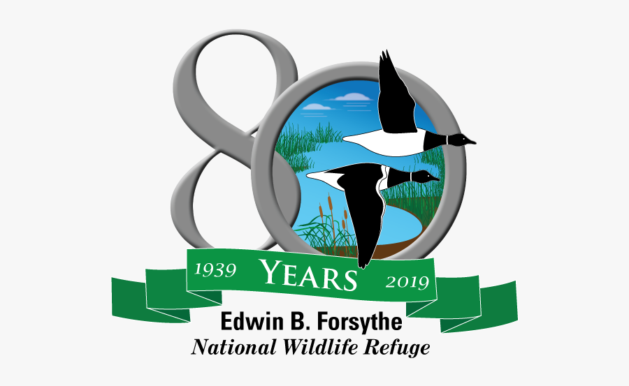 80 Years Vector Art With Clouds - Illustration, Transparent Clipart