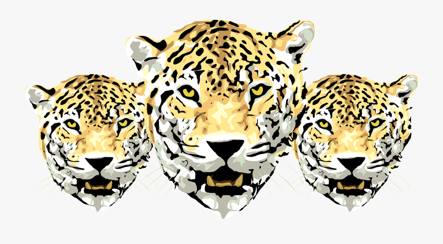 Leopard Head Clipart, Transparent Clipart