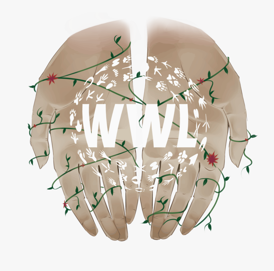 Illustration, Transparent Clipart