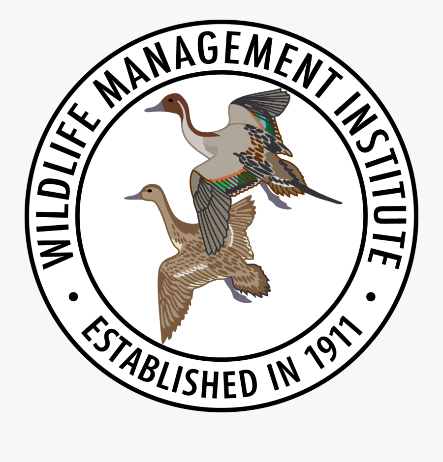 Wildlife Management, Transparent Clipart