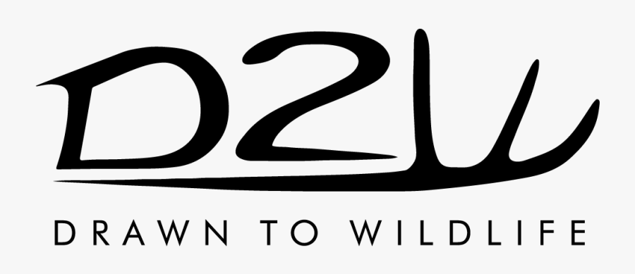 Calligraphy, Transparent Clipart