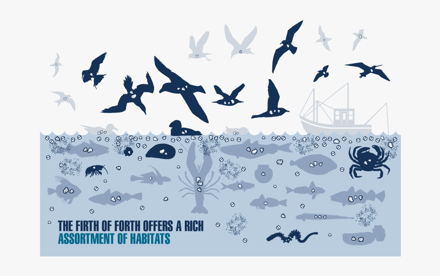 Eatern By - Flock, Transparent Clipart