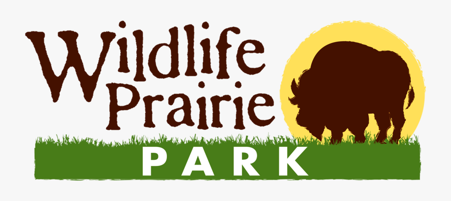 Poster, Transparent Clipart