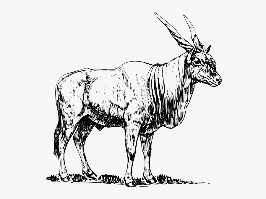 Eland Clipart, Transparent Clipart