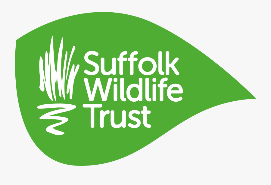 Home - Graphic Design, Transparent Clipart