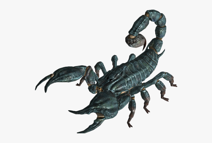 Scorpion Png Image - Fallout 3 Radscorpion, Transparent Clipart