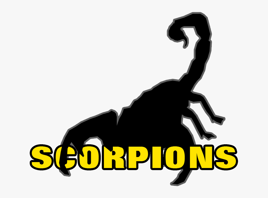 Scorpion, Transparent Clipart