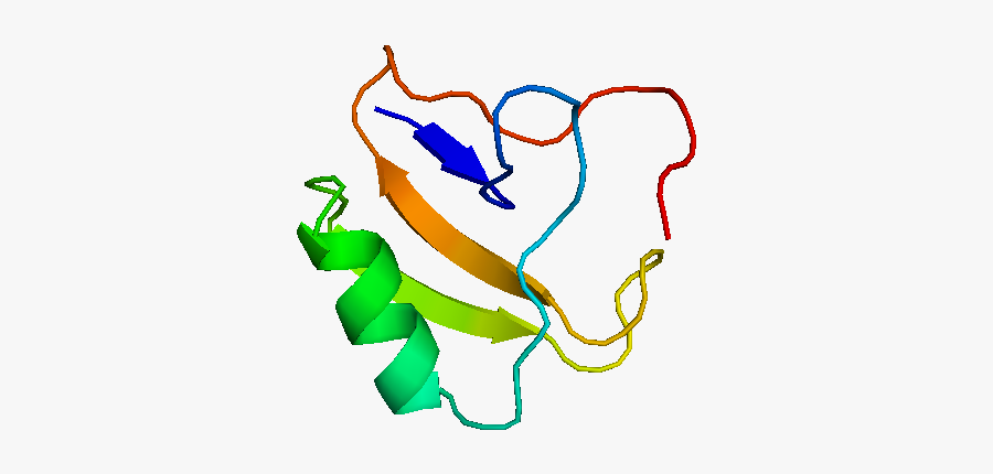 Scorpion Alpha Toxin Structure, Transparent Clipart