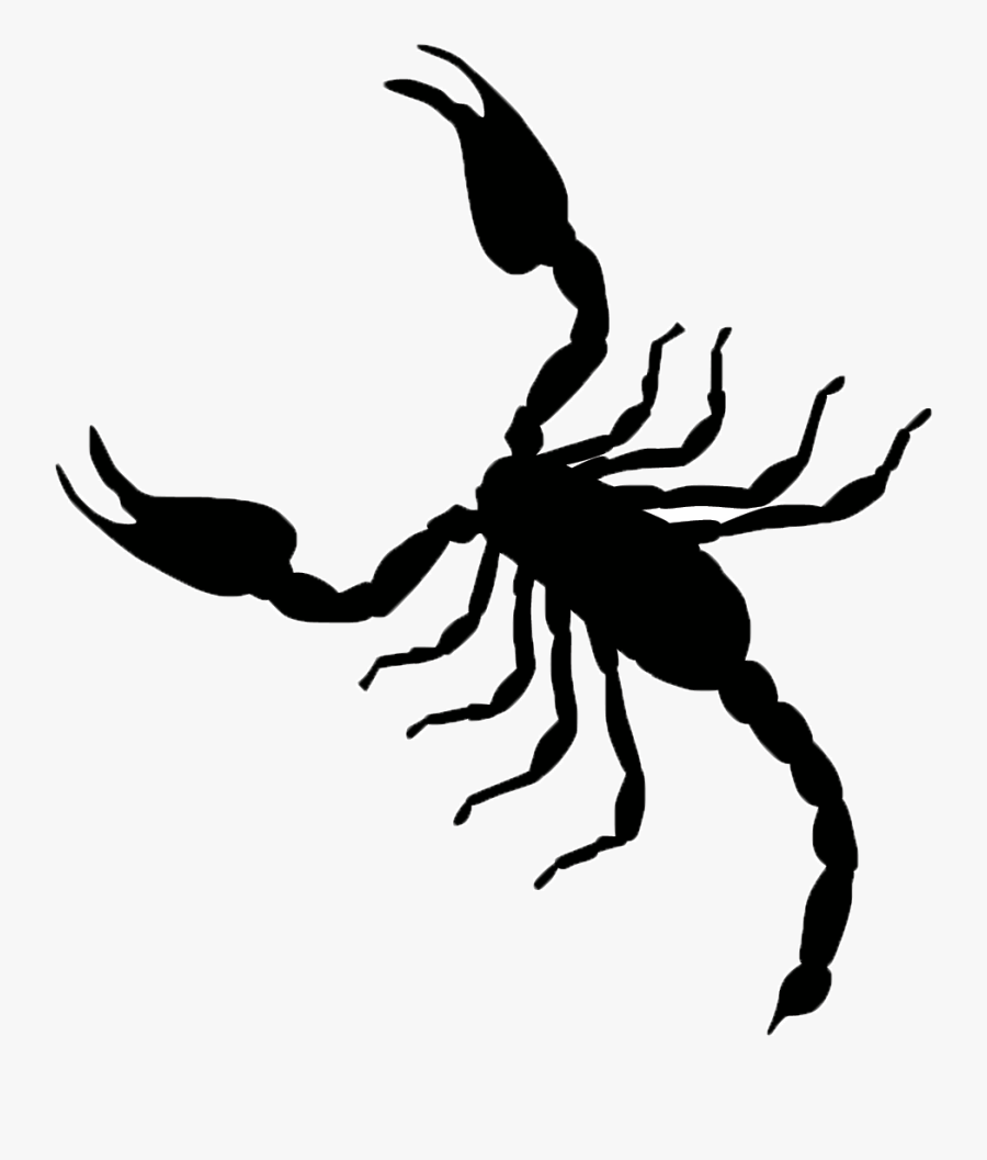 Scorpion Vector Graphics Clip Art Illustration Image - Scorpion Vector, Transparent Clipart
