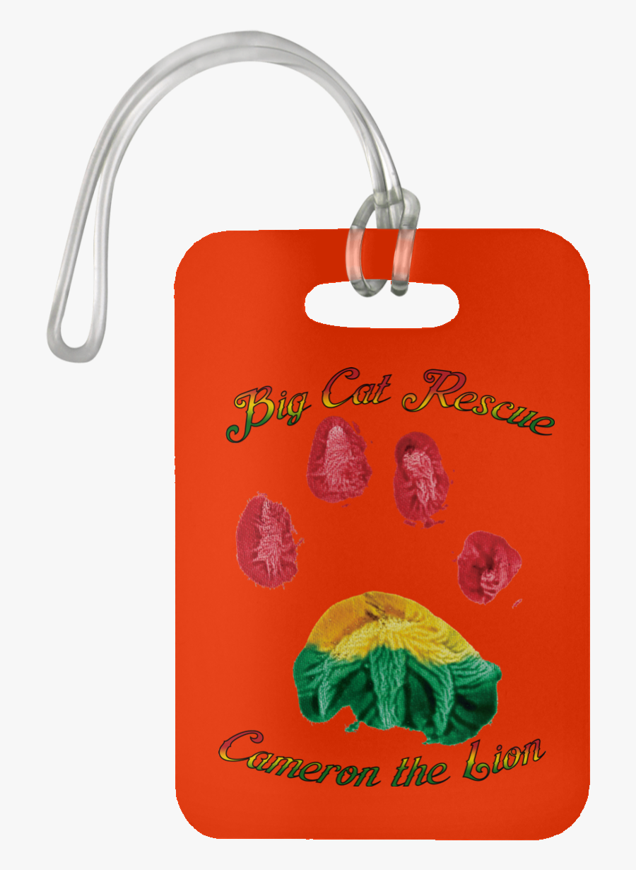 Transparent Lion Paw Png - Tortoise, Transparent Clipart