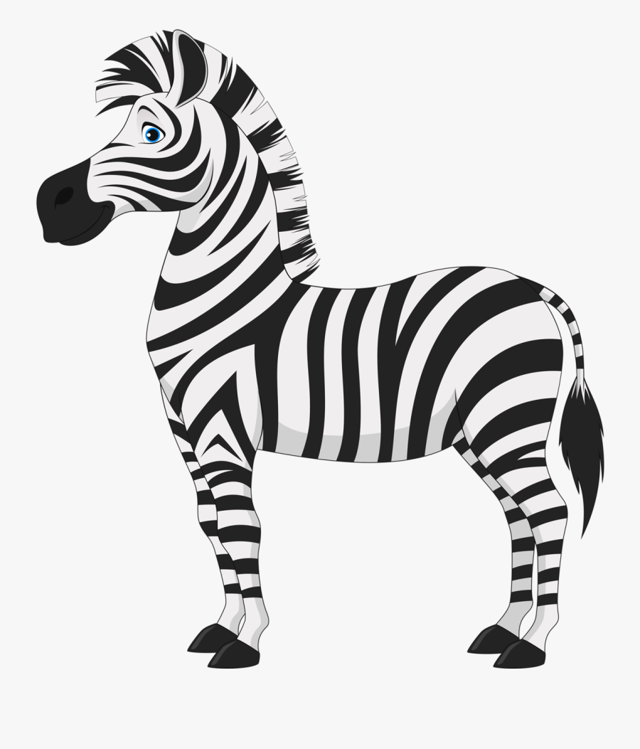 Png Zoos Clip - Zebra Cartoon Png, Transparent Clipart