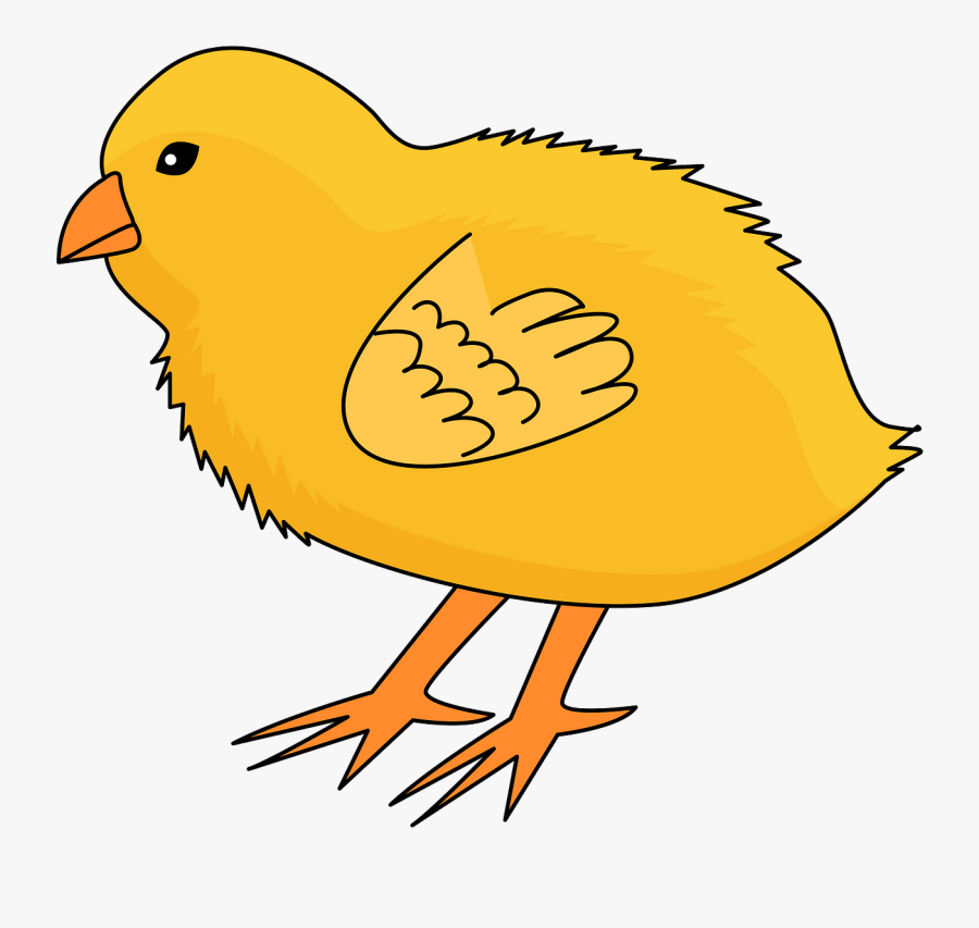 Songbird, Transparent Clipart