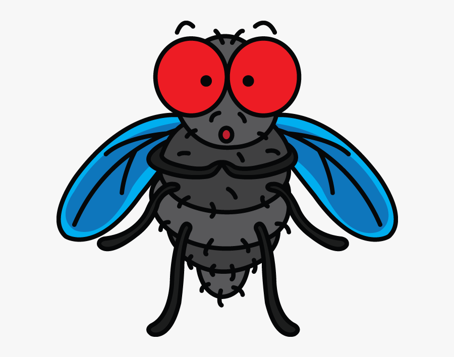 Transparent Flying Squirrel Clipart - Fly Drawing, Transparent Clipart