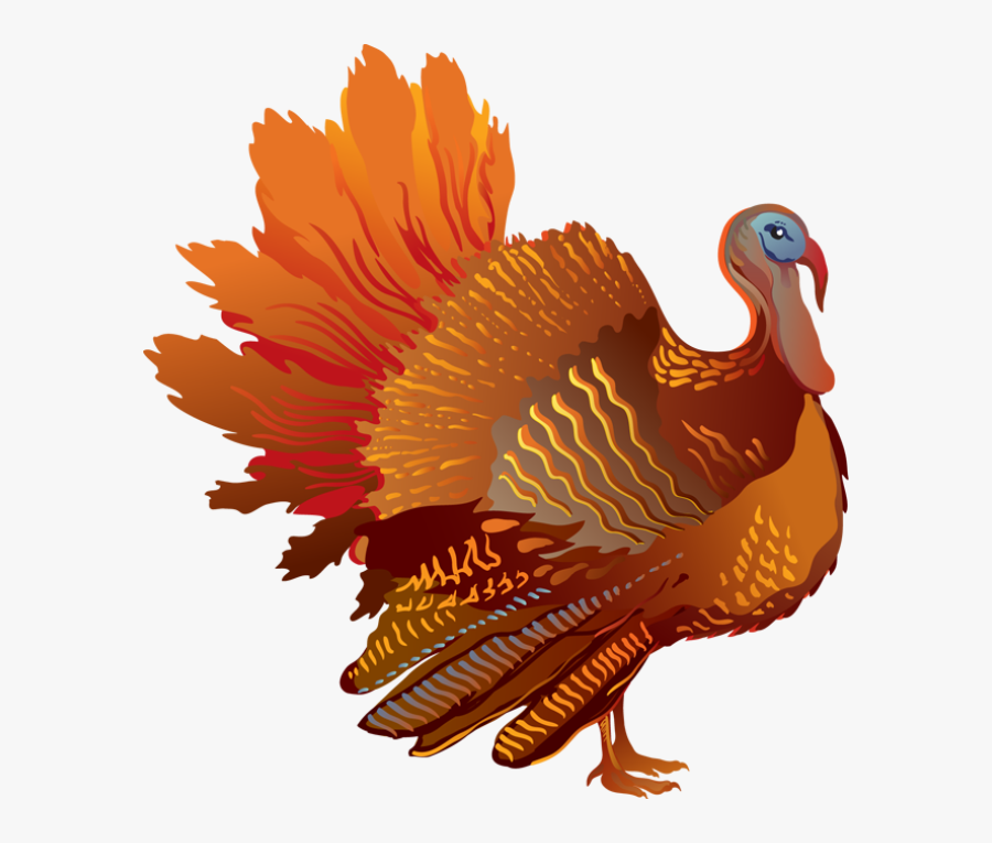 Free Turkey Clipart Cliparts And Others Art Inspiration, Transparent Clipart
