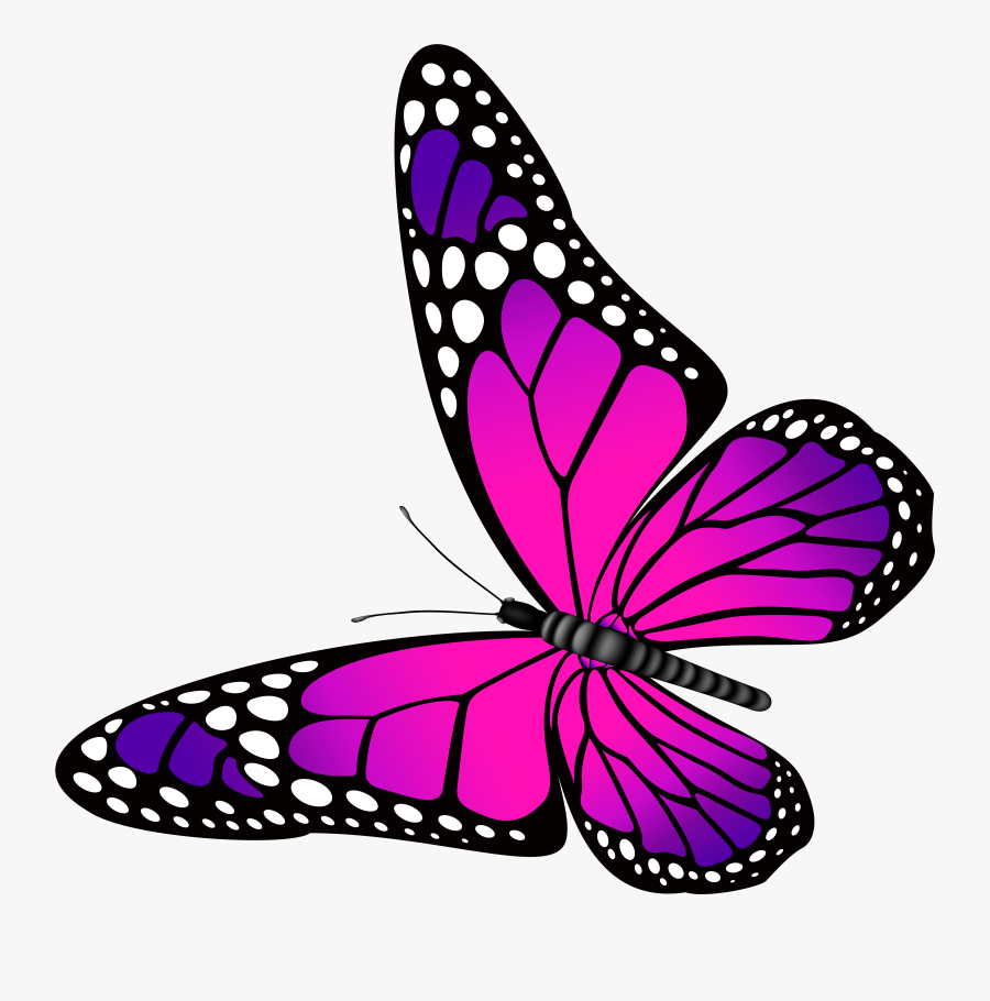 Clip Art Butter Fly Clip Art - Butterfly Pink And Purple, Transparent Clipart