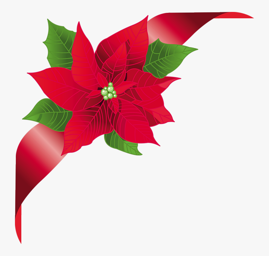 Фотки Christmas Frames, Christmas Art, Flower Clipart, - Christmas Floral Vector Png, Transparent Clipart