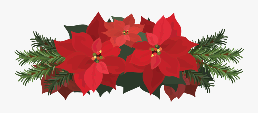This Is A Sticker Of A Poinsettia Flower - Poinsettia, Transparent Clipart