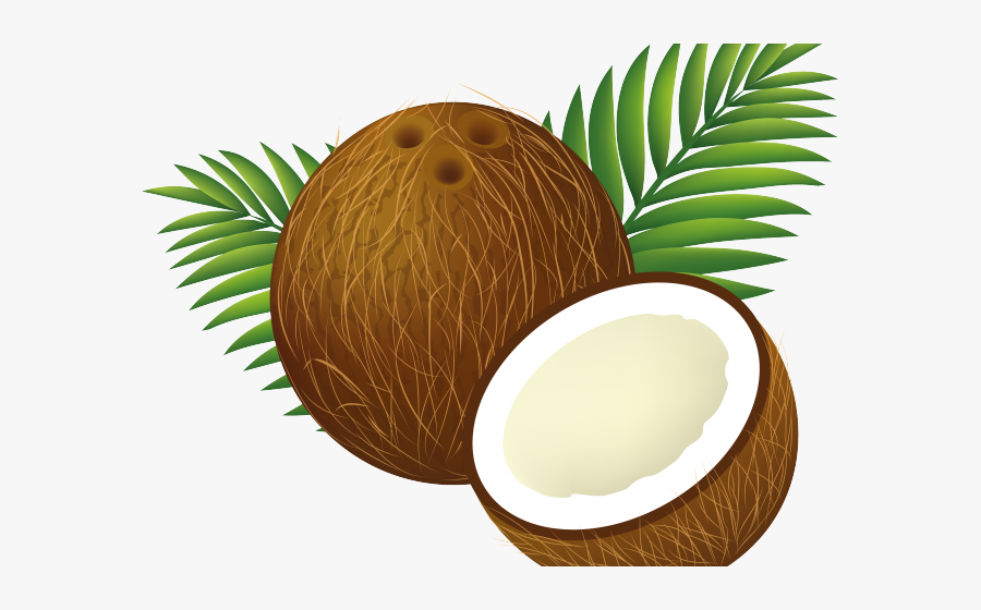 Transparent Luau Png - Transparent Background Coconut Clipart Png, Transparent Clipart