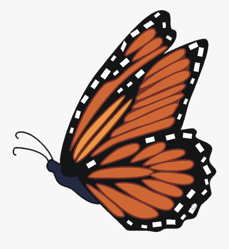 Butterfly Cliparts Transparent Flying - Flying Monarch Butterfly Clipart, Transparent Clipart