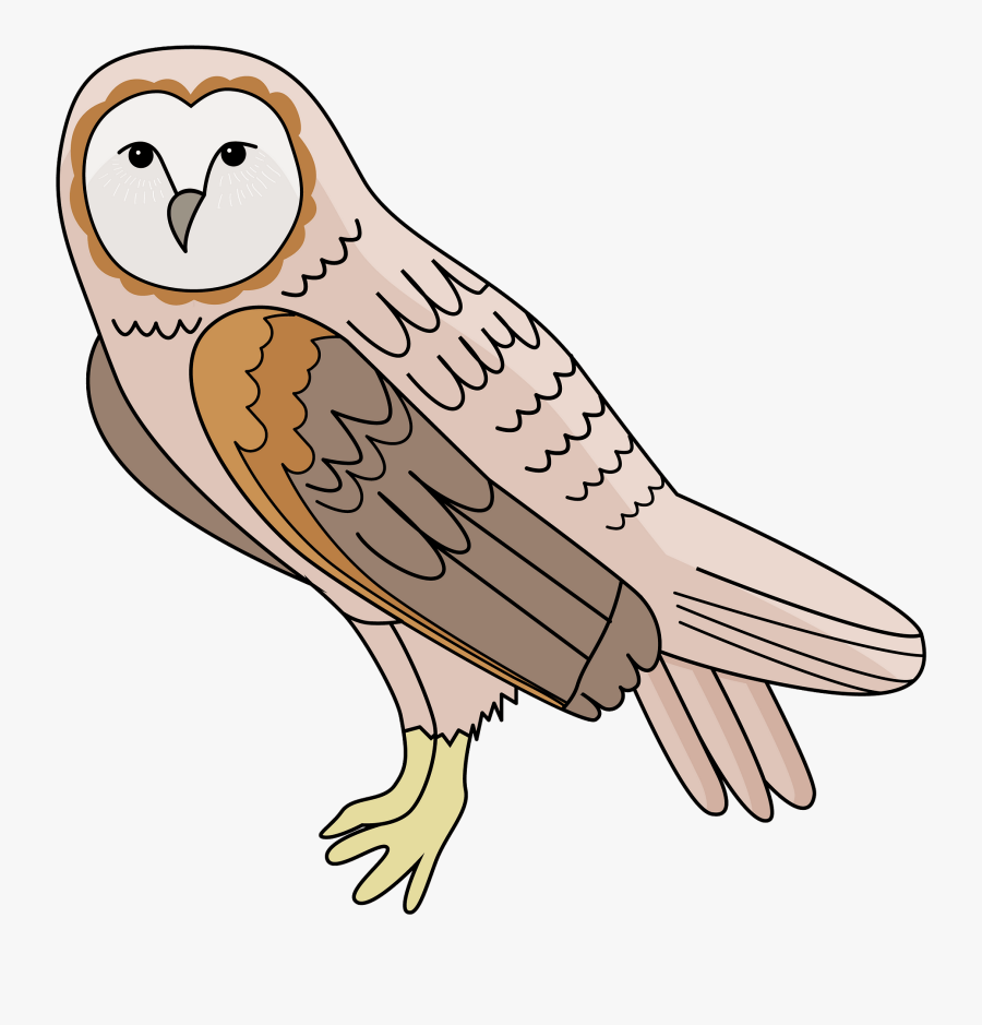 Screech Owl, Transparent Clipart