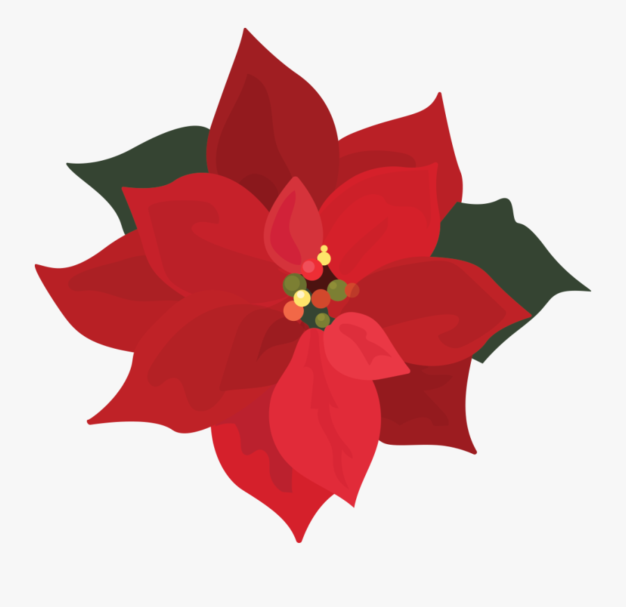 Poinsettia Clipart Holiday - Clip Art Poinsettia, Transparent Clipart