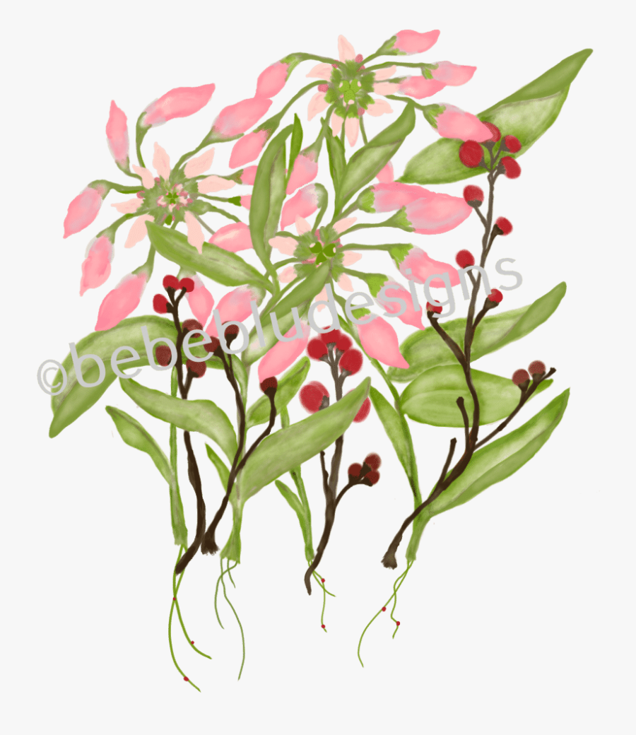 Poinsettia In Bud With Berries Clipart , Png Download - Daphne, Transparent Clipart