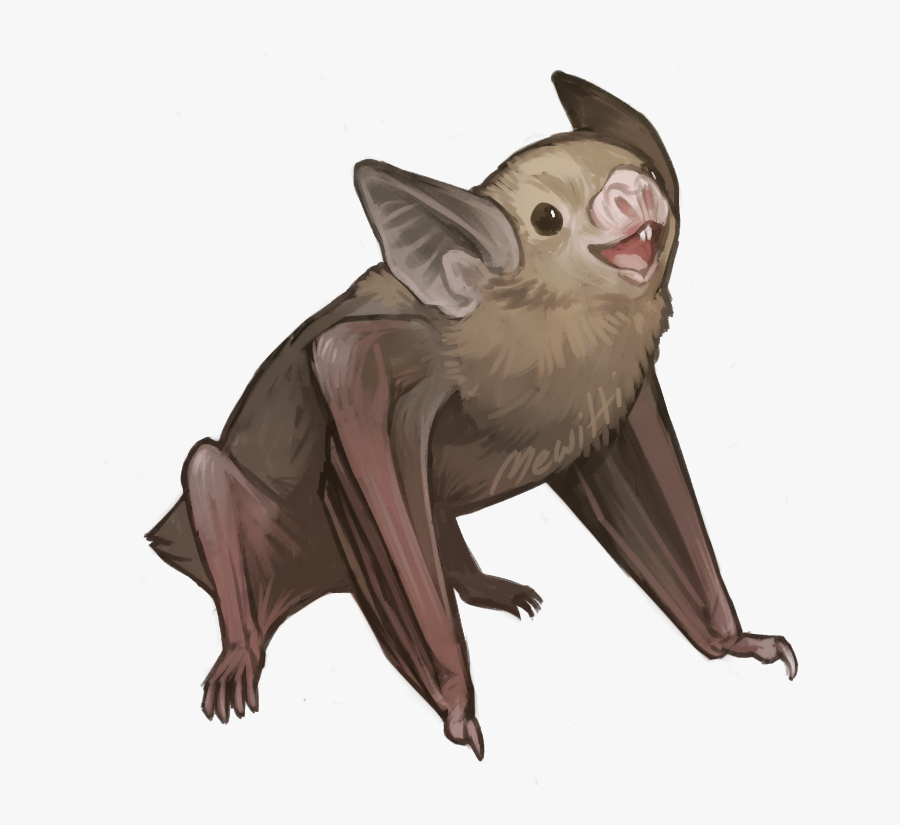 Honduran White Bats - Kitti's Hog Nosed Bat 3d, Transparent Clipart