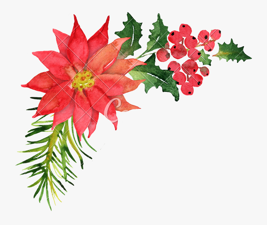 Poinsettia Clipart Watercolor - Christmas Flowers Watercolor Clipart, Transparent Clipart