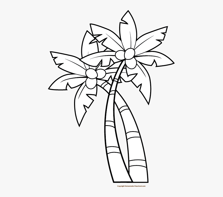 Coconut Tree Clipart Black And White, Transparent Clipart