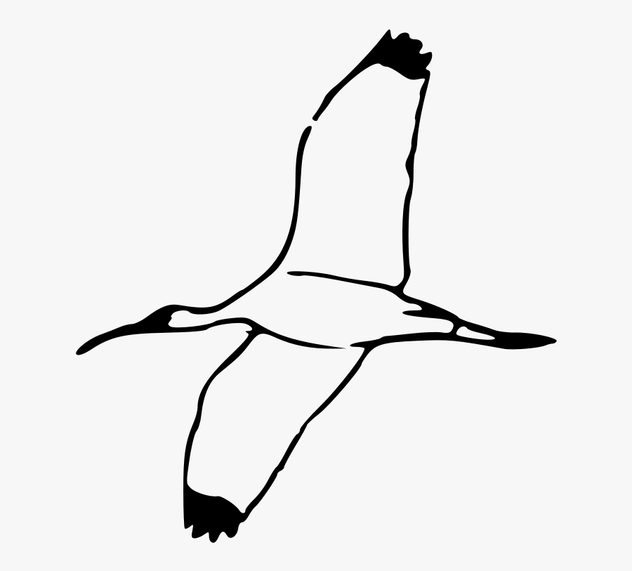 Bird Wing Fly Flying Wings Transparent Png Images - Ibis Clipart, Transparent Clipart