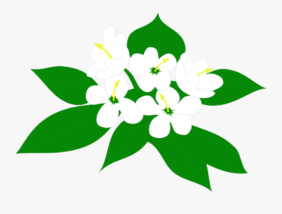 Transparent Poinsettia Clipart - Sampaguita Flower Clipart, Transparent Clipart