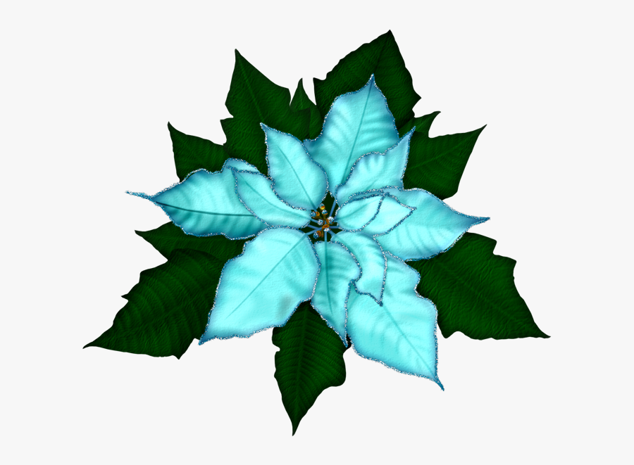 Fantasy Moments ~ Winter Impressions - Transparent Poinsettia Png, Transparent Clipart