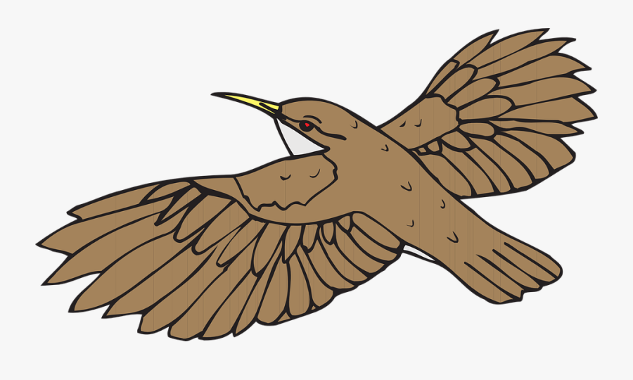 Humming Bird Clipart 16, - Brown Bird Flying Clipart, Transparent Clipart
