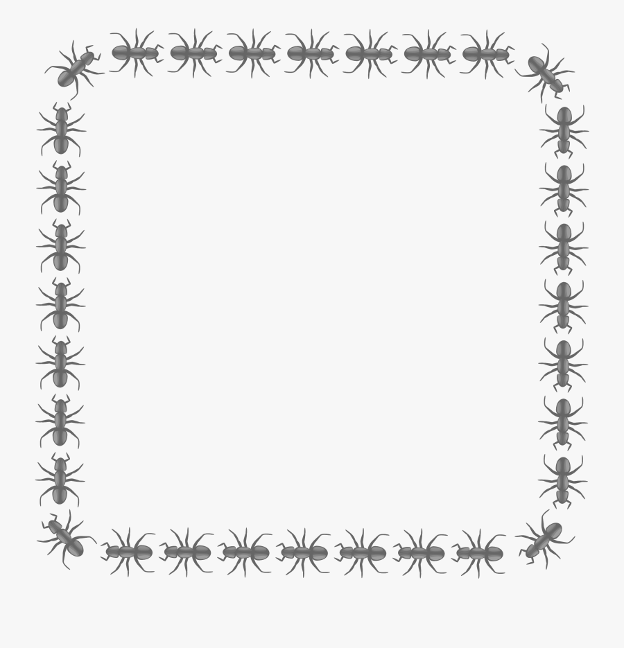 Bats Clipart Border - Ant Border, Transparent Clipart