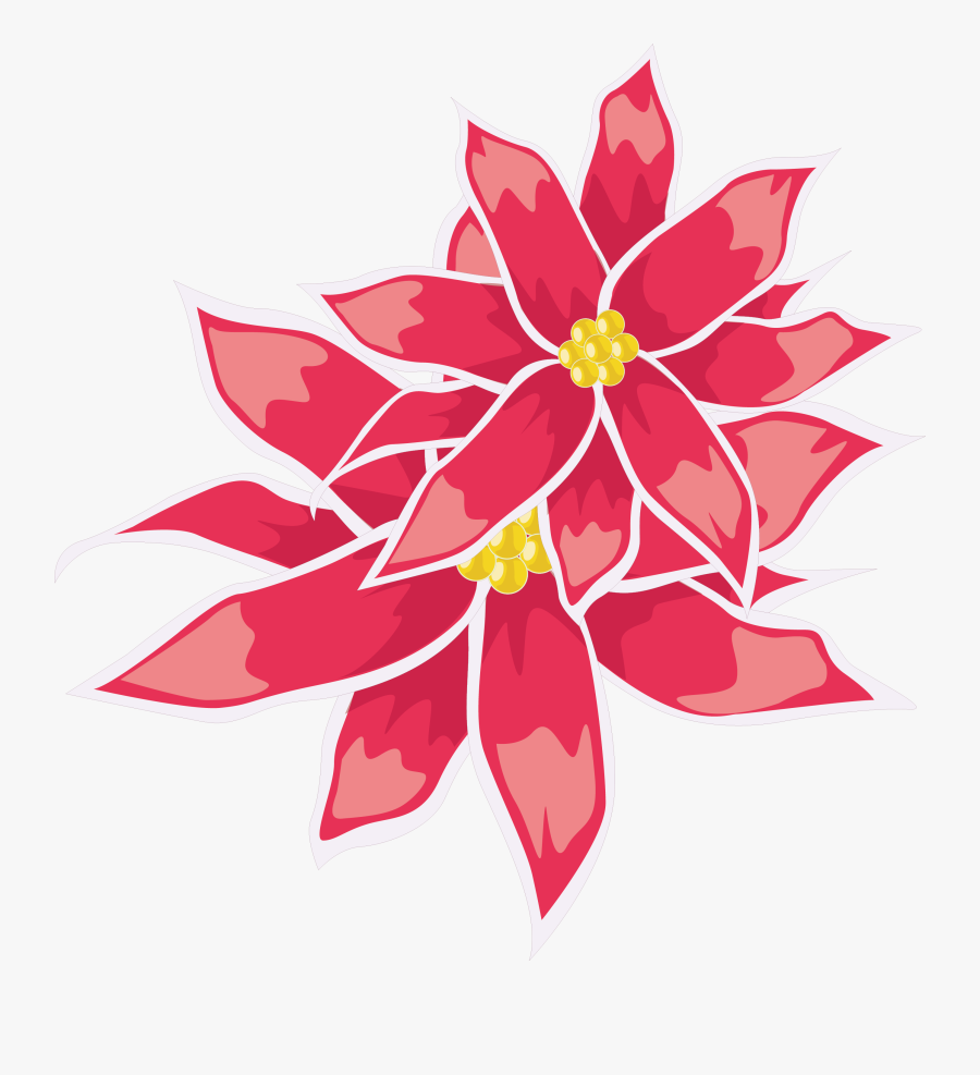 19 Poinsettia Vector Red Huge Freebie Download For - Poinsettia, Transparent Clipart