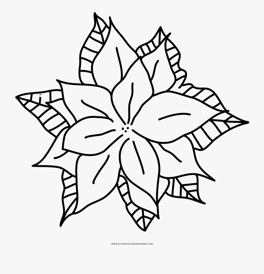 Clip Art Poinsettia Printable - Line Art, Transparent Clipart