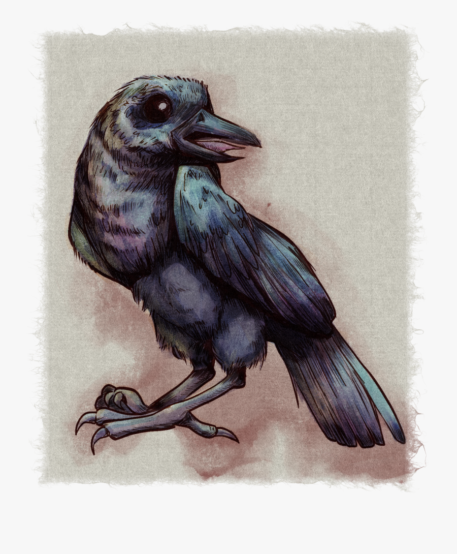 American Crow, Transparent Clipart