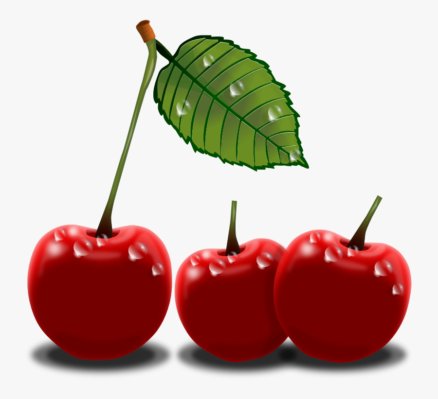 Cherry Clipart Black And White Free Clipart Image 2 - Cherries Clip Art, Transparent Clipart