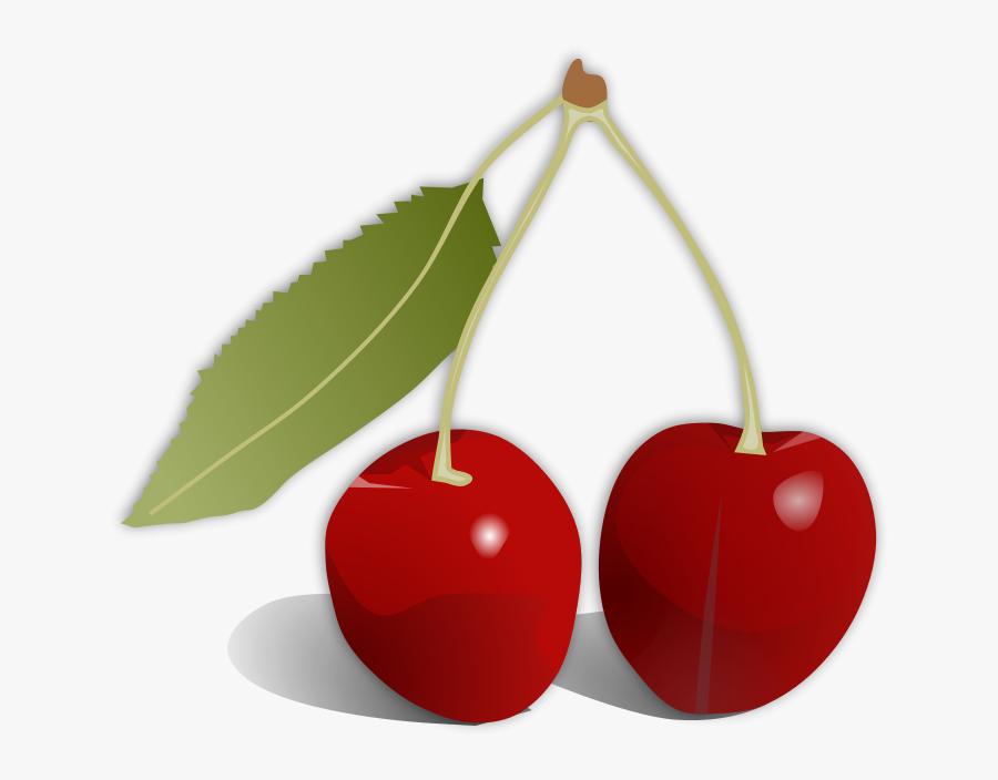 Superfood,food,cherry - Cherry Fruit, Transparent Clipart