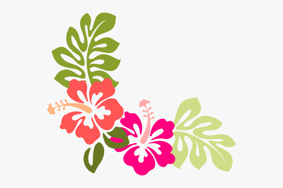 Hibiscus Flower Vector Png, Transparent Clipart