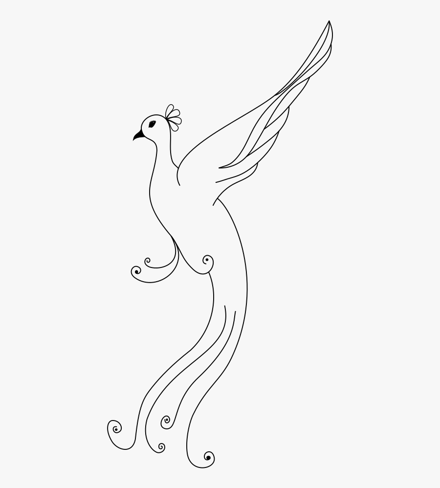Peacock - Peafowl Drawing, Transparent Clipart