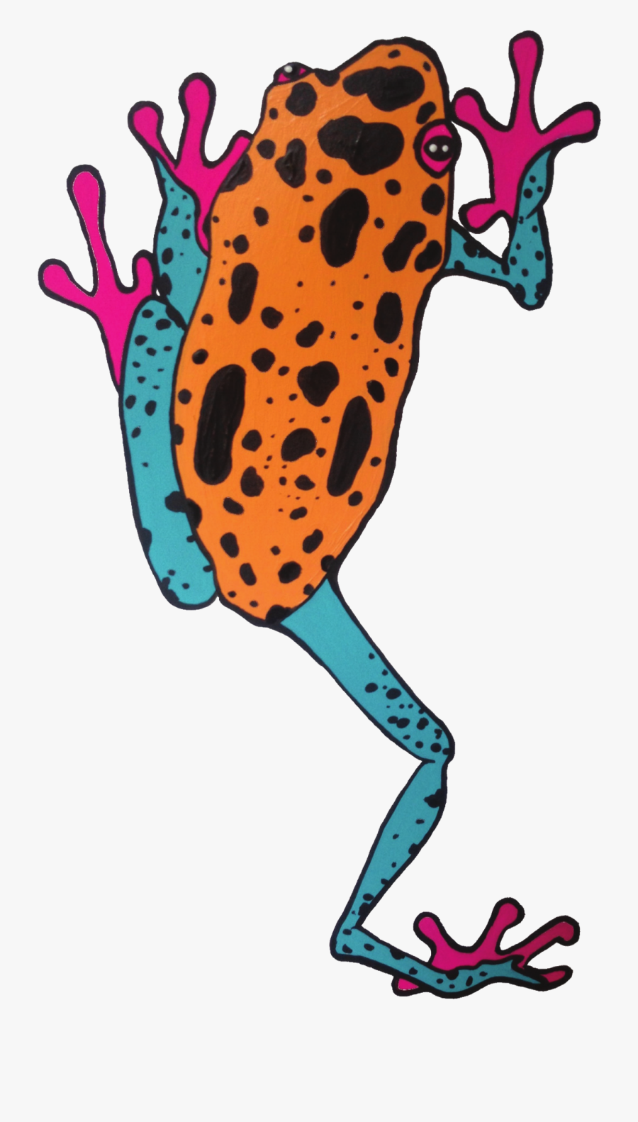 Phyllobates, Transparent Clipart