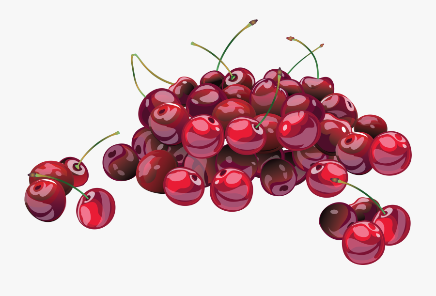 Cherry Clipart Genus Prunus - Free Cherries, Transparent Clipart