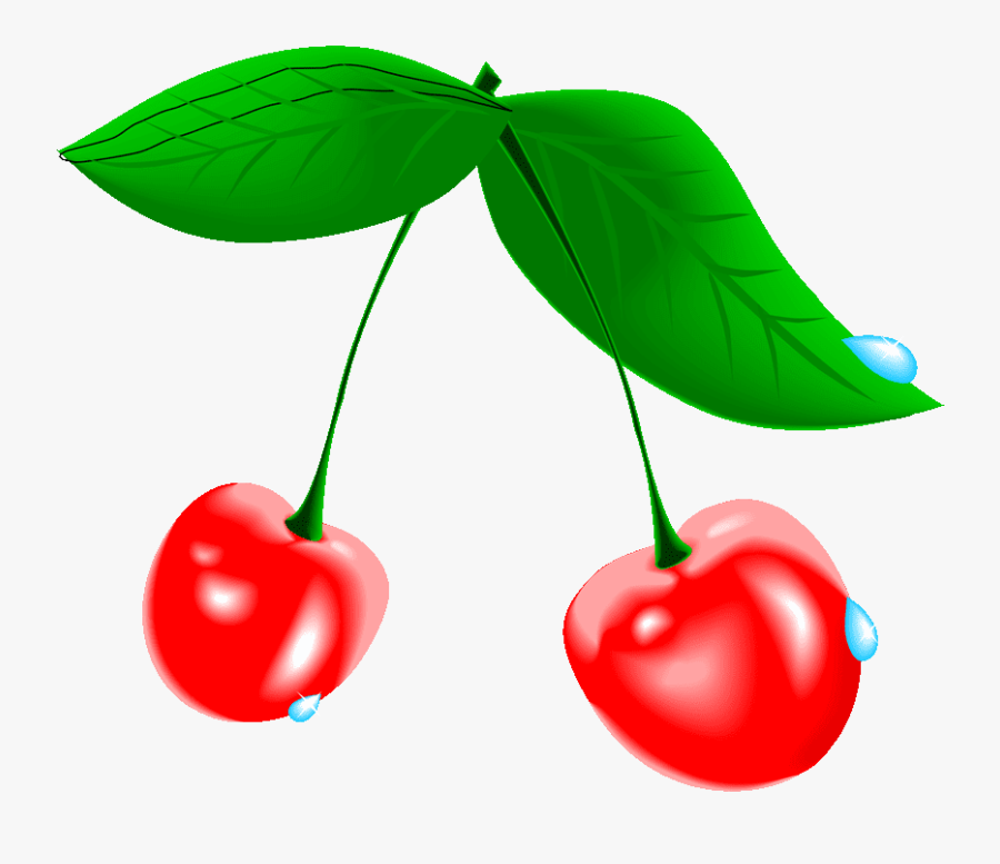 Cherry Blossom Clip Art Free - Cherry, Transparent Clipart