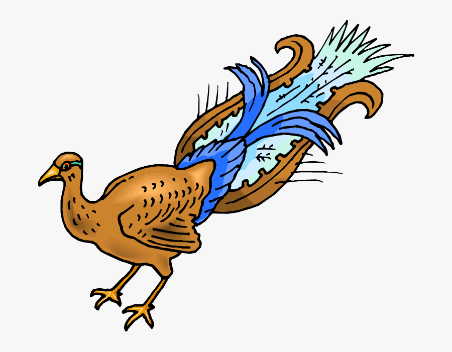 Peafowl, Transparent Clipart