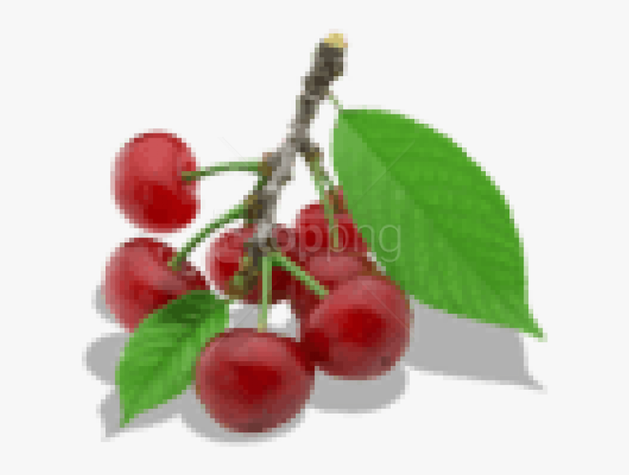 Download Twig Of Cherry Clipart Png Photo - Cherry, Transparent Clipart