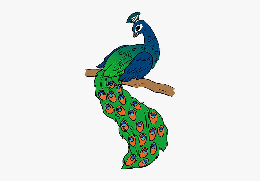 Clip Art Peacock Picture - Easy Simple Peacock Drawing, Transparent Clipart