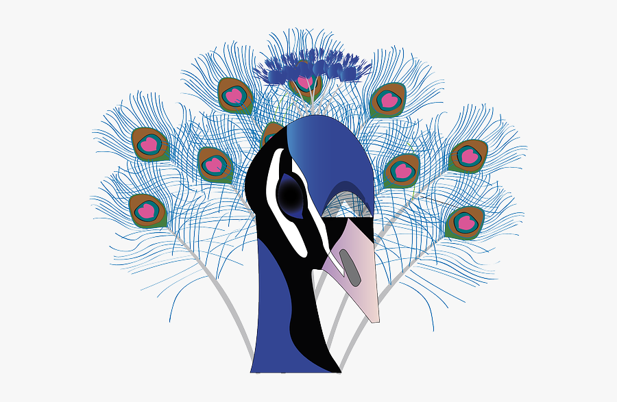 Peacock Clipart Head - Paon Png Cliparts Transparents, Transparent Clipart